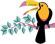 Toucan